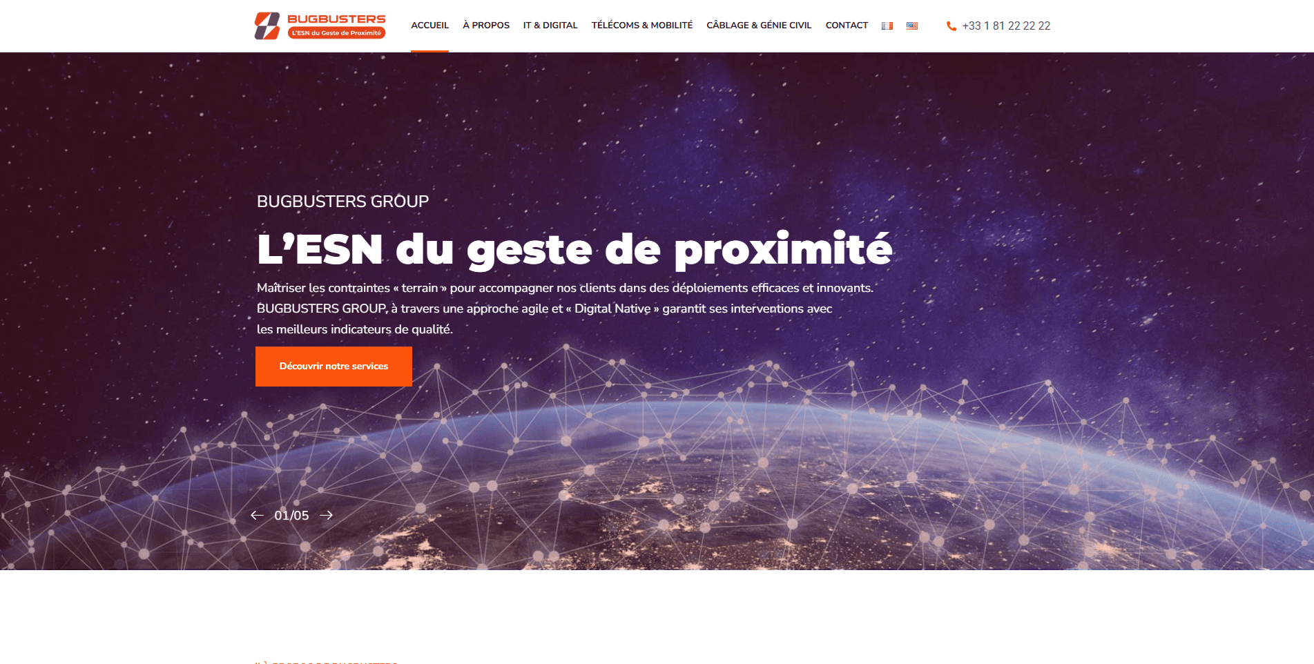 BugBusters website screenshot